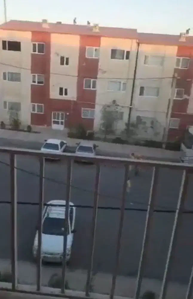 مپسا پنج / بتنی /دوواحدی/ دوخوابه/ فول امکانات|فروش آپارتمان|پرند, فاز ۵|دیوار