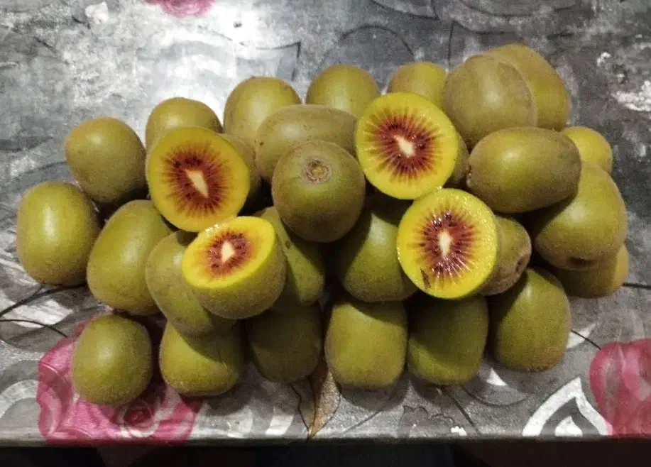 کیوی فروشی|خوردنی و آشامیدنی|رشت, جماران|دیوار