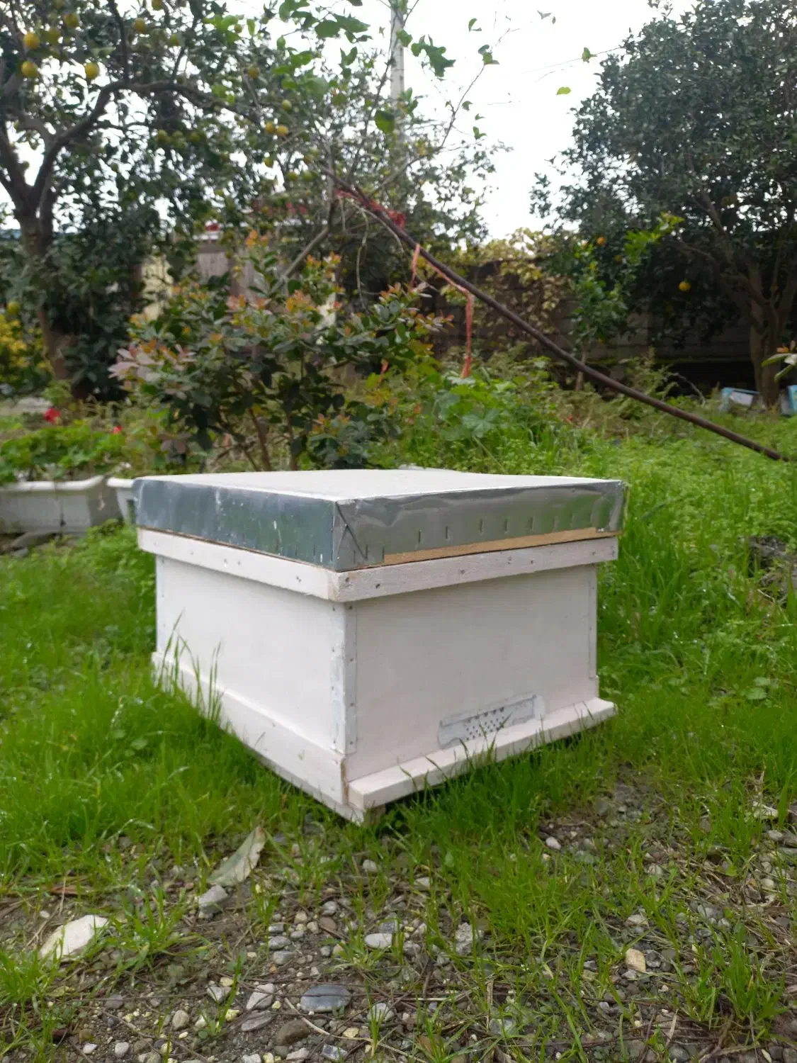 فروش کندو طبق مصنوعات چوبی|عمده‌فروشی|رامسر, |دیوار