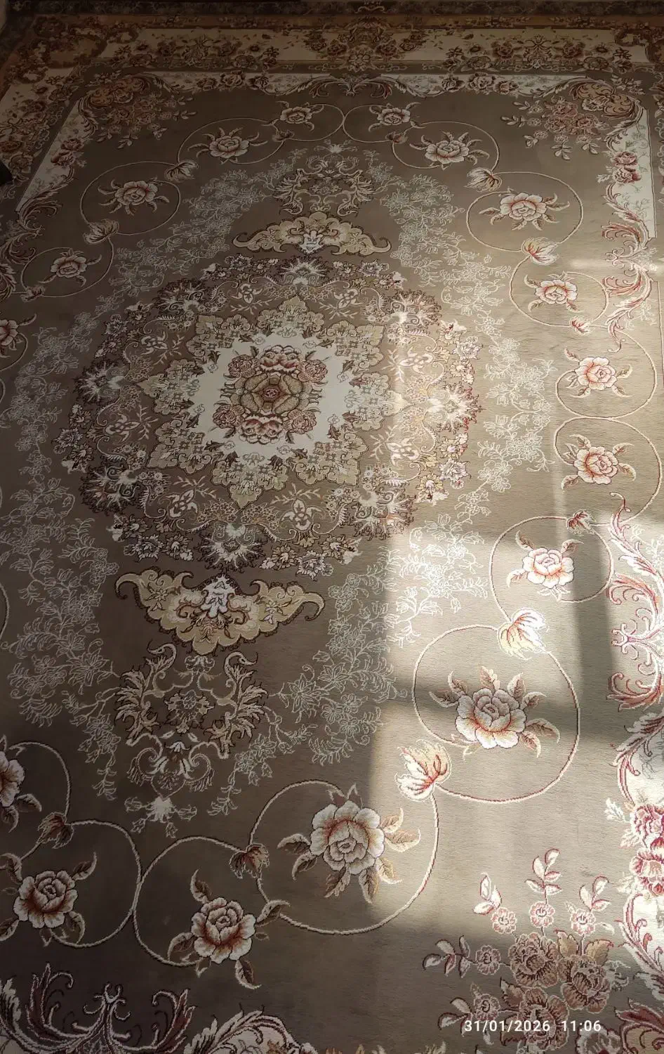 یک تخته فرش ۱۲ متری|فرش|ایلام, |دیوار