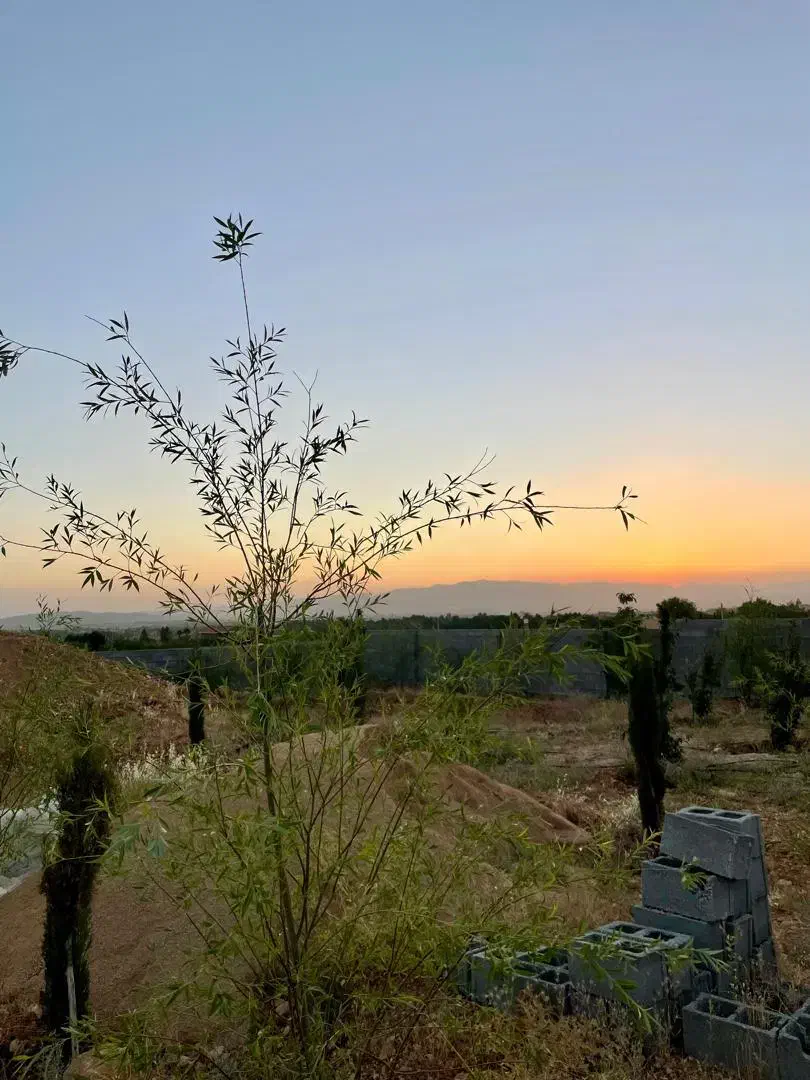 زمین با پروانه ساخت بلوار محراب|فروش زمین و ملک کلنگی|شیراز, شهرک گلها|دیوار