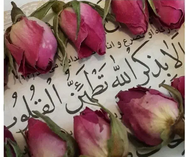 سرکتاب|کتاب و مجله مذهبی|تهران, هفت حوض|دیوار