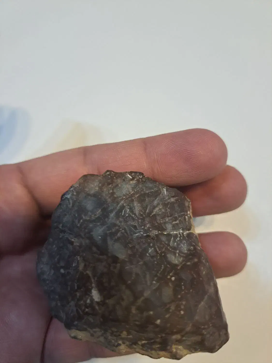 شهاب سنگ|کلکسیون اشیاء عتیقه|کهریزک, |دیوار