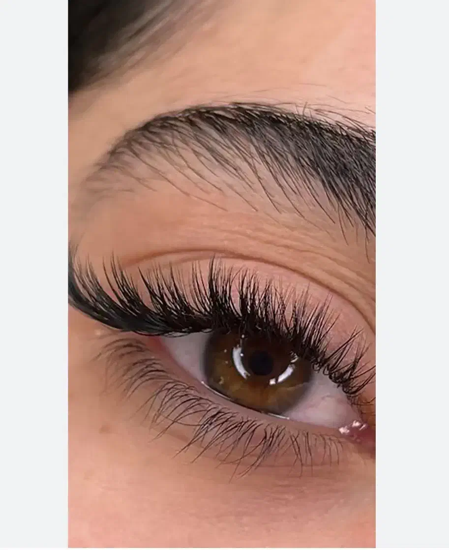 مدل مژه آف ویژه اکستنشن مژه از ۲۰۰ به بالا|خدمات آرایشگری و زیبایی|شیراز, شهرک رضوان|دیوار