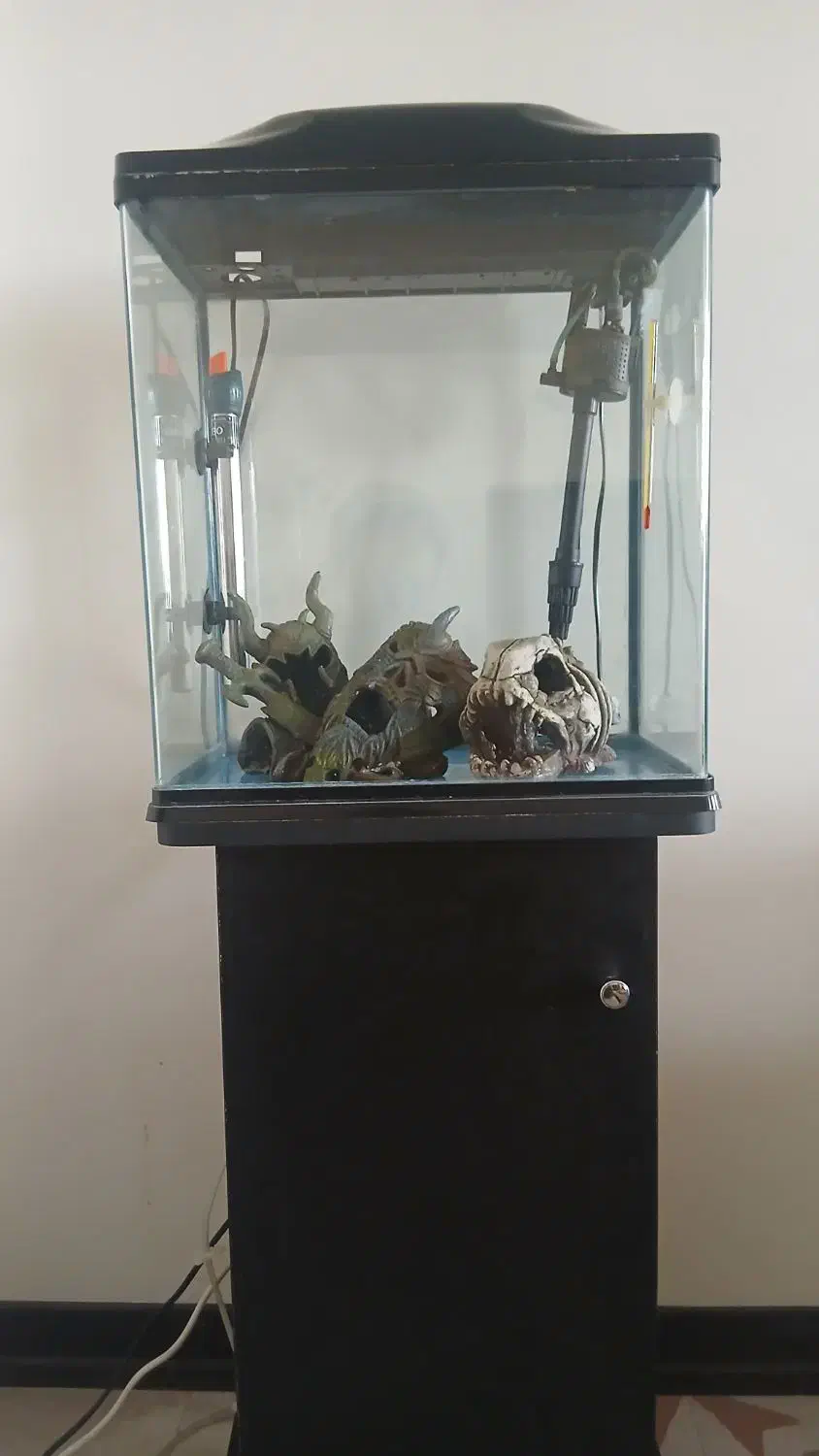 آکواریوم به همراه پایه|ماهی|تهران, مطهری|دیوار