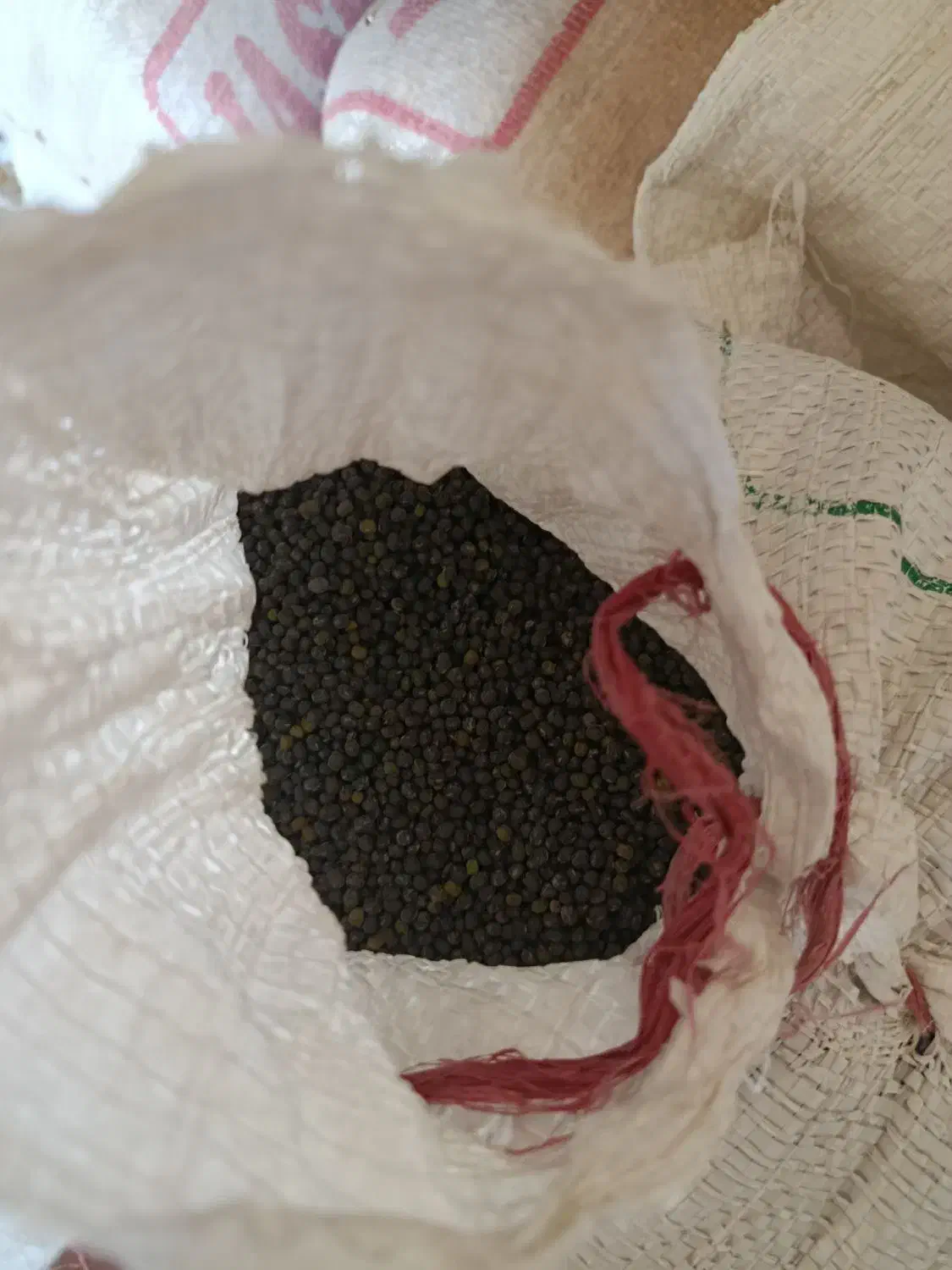 گندی سیاه.ماش|خوردنی و آشامیدنی|باغ ملک, |دیوار