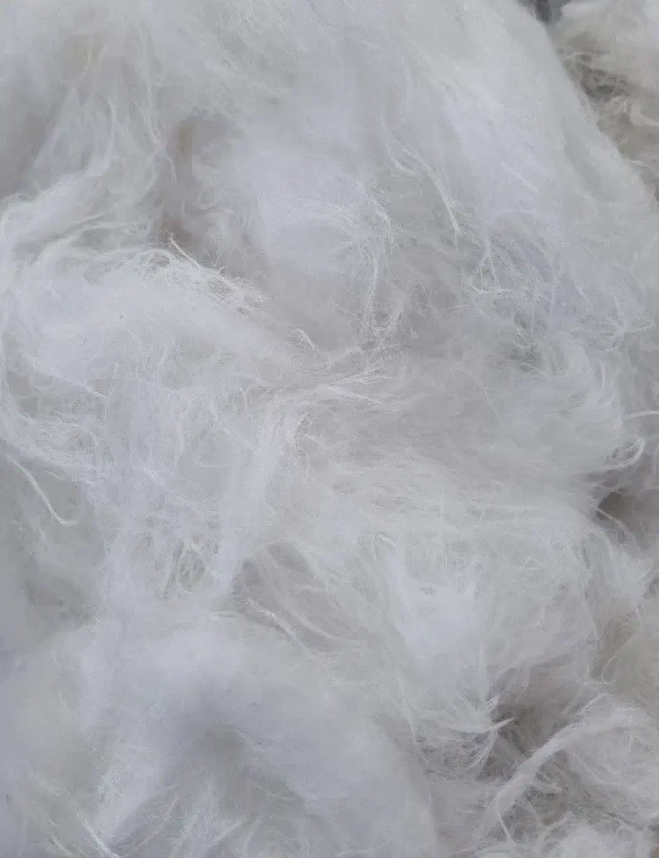 الیاف|لوازم خیاطی و بافتنی|اصفهان, احمدآباد|دیوار