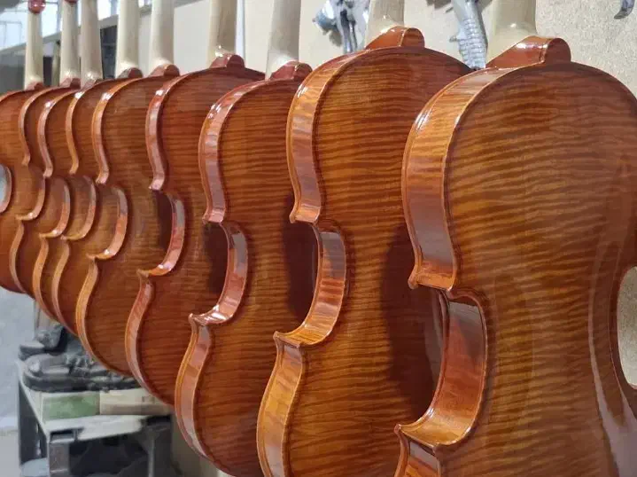 فروش انواع ویولن از مبتدی تا حرفه ای|ویولن|گلپایگان, |دیوار