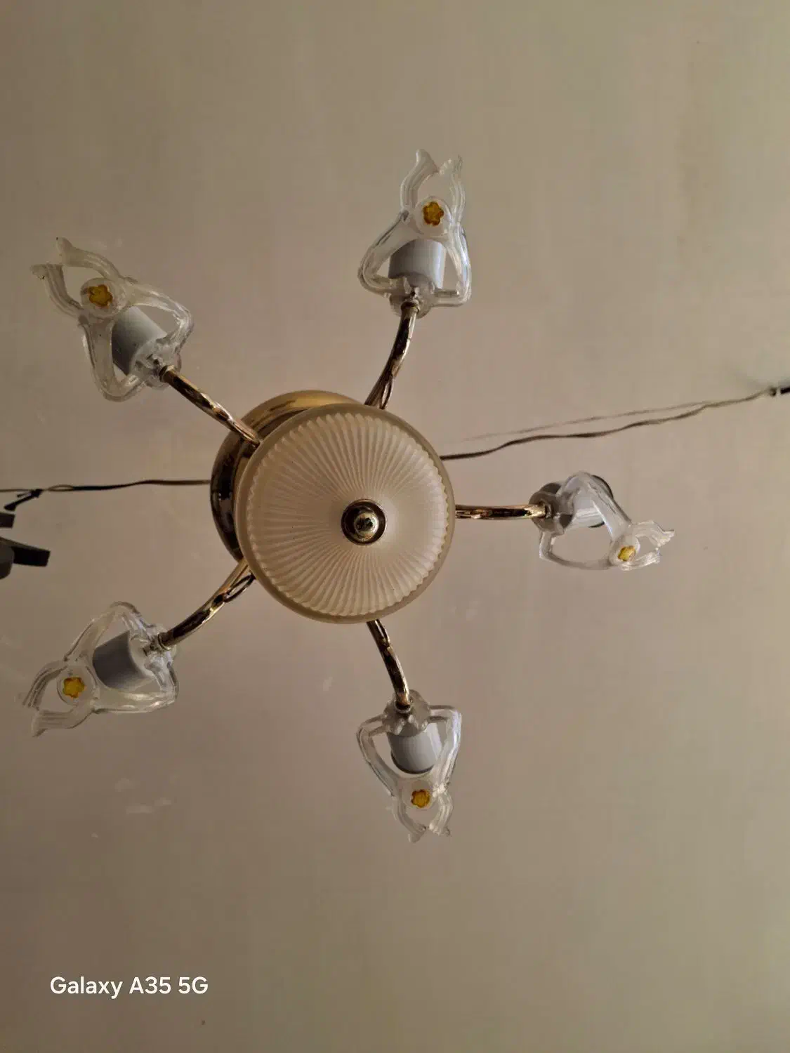 لوستر پنج شاخه|لوستر و چراغ آویز|اصفهان, کوی امیریه|دیوار