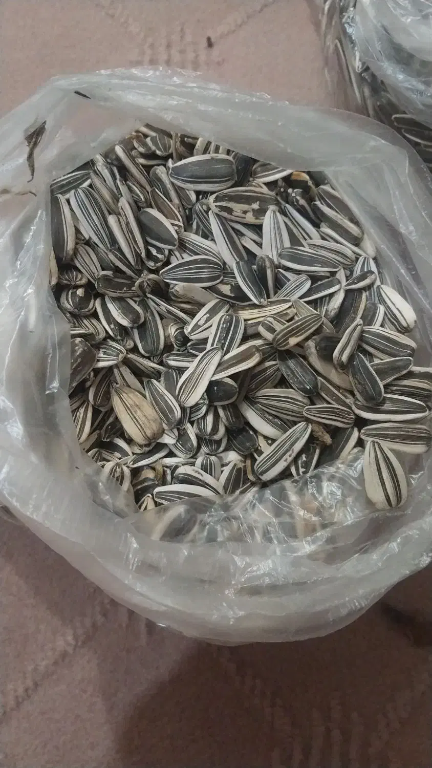 تخمه|عمده‌فروشی|انگوران, |دیوار