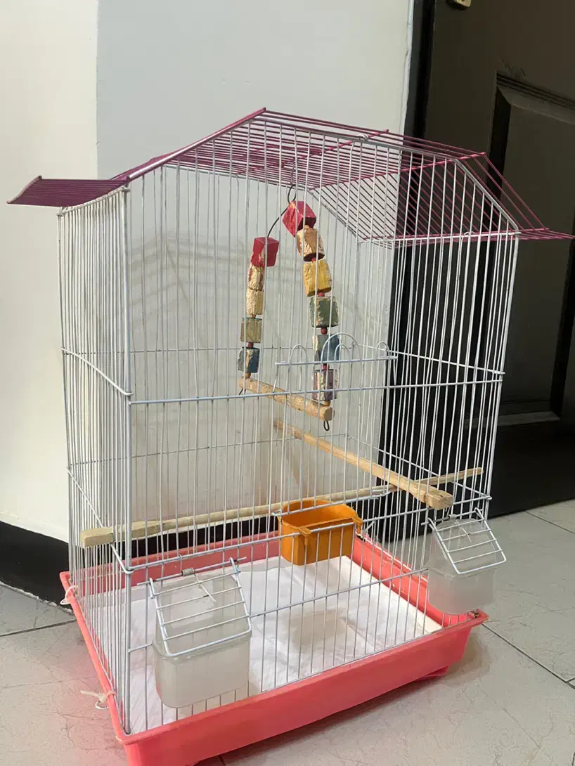 قفس پرنده با وسیله|لوازم جانبی حیوانات|کرج, شاهین‌ویلا|دیوار