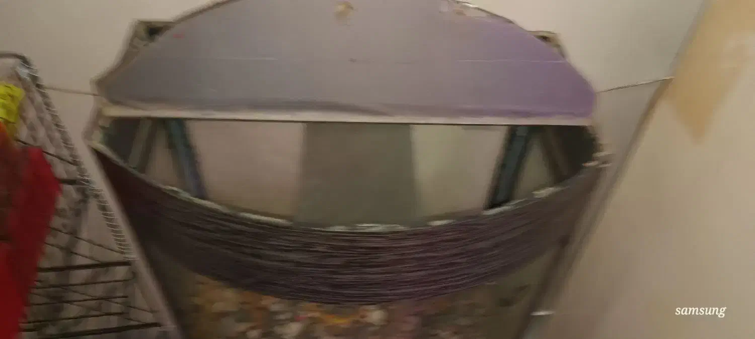 آکواریوم شیشه خم (محدب ) همراه با پایه فلزی|ماهی|تهران, افسریه شمالی|دیوار