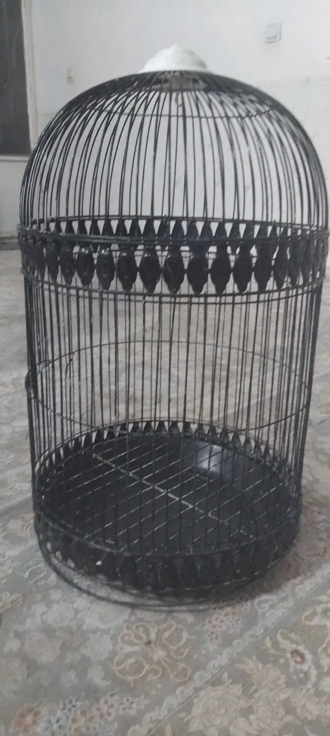 قفس|لوازم جانبی حیوانات|سبزوار, شرق کال شمالی|دیوار