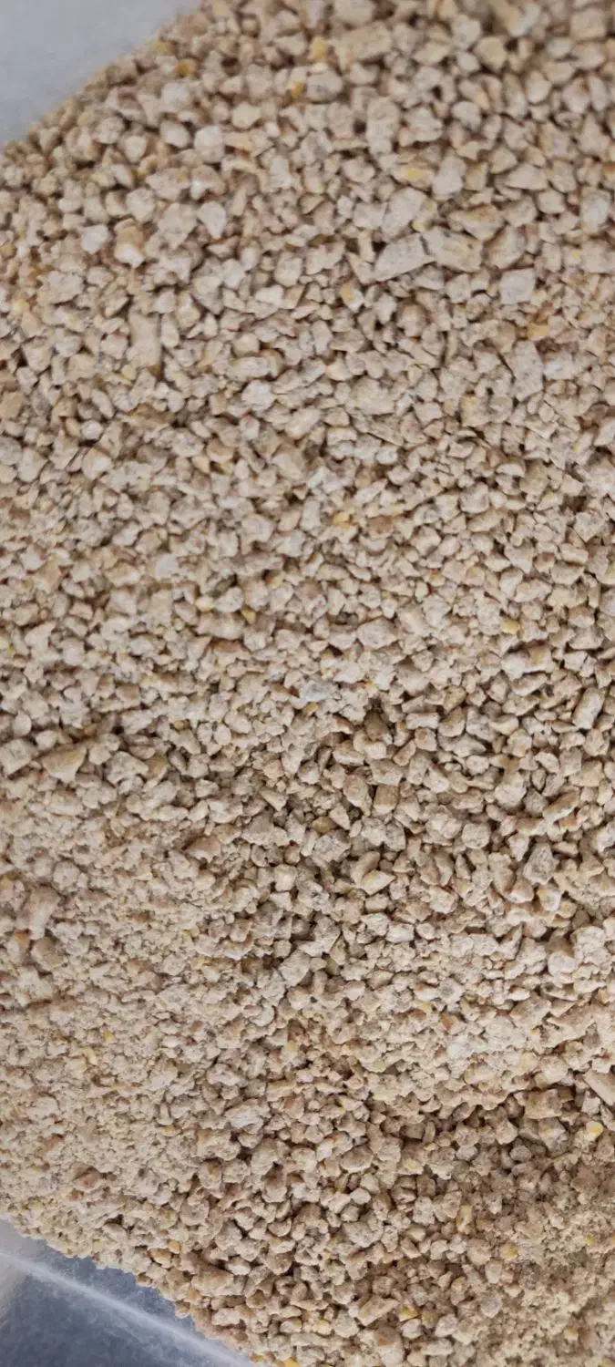 دان مرغ تخمگذار|حیوانات مزرعه|قم, باسکول|دیوار