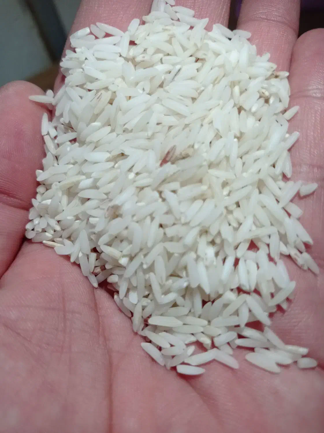 برنج هاشمی اصل بدون قاطی|خوردنی و آشامیدنی|مراغه, |دیوار