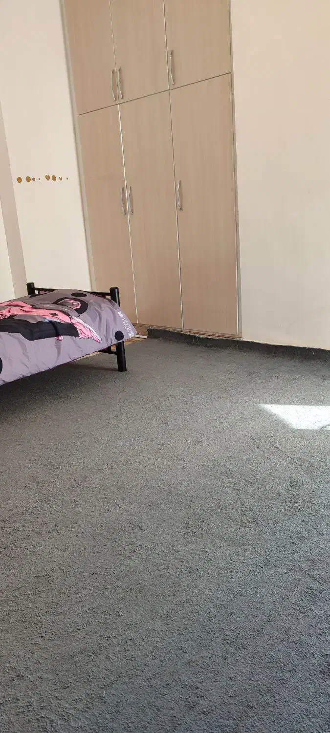 موکت|موکت|بندر کنگان, |دیوار