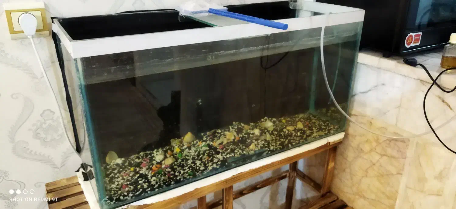 آکواریم بزرگ به همراه ماهی|ماهی|مشهد, انقلاب|دیوار