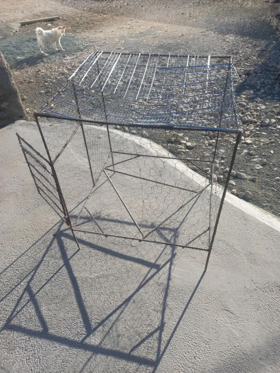 قفس اهنی|لوازم جانبی حیوانات|اسلام‌‌آباد غرب, |دیوار