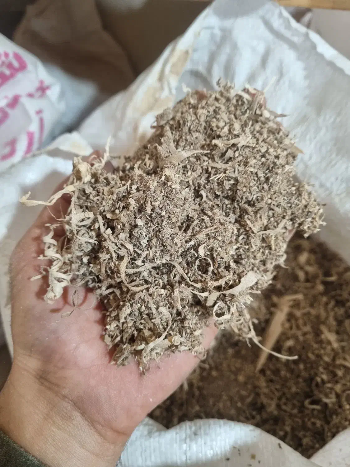 پوشال چوب|لوازم جانبی حیوانات|رشت, کوی قدس|دیوار