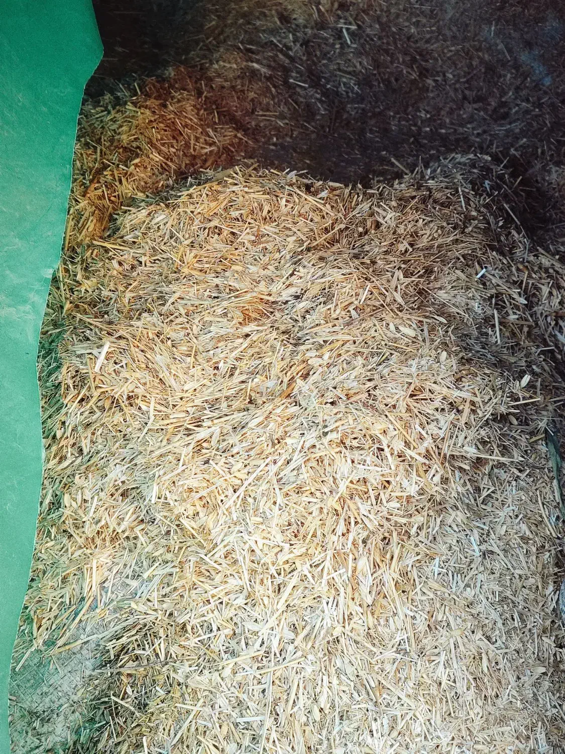 کاه|لوازم جانبی حیوانات|هریس, |دیوار