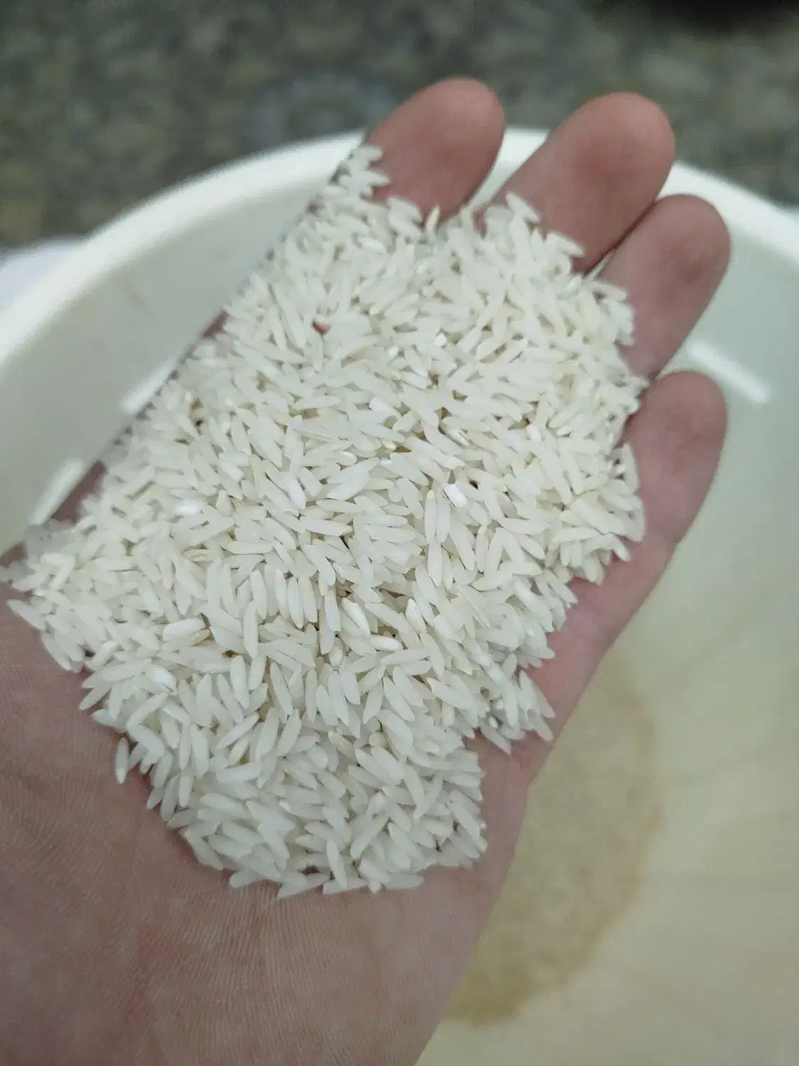 برنج هاشمی|خوردنی و آشامیدنی|رشت, حافظ آباد|دیوار