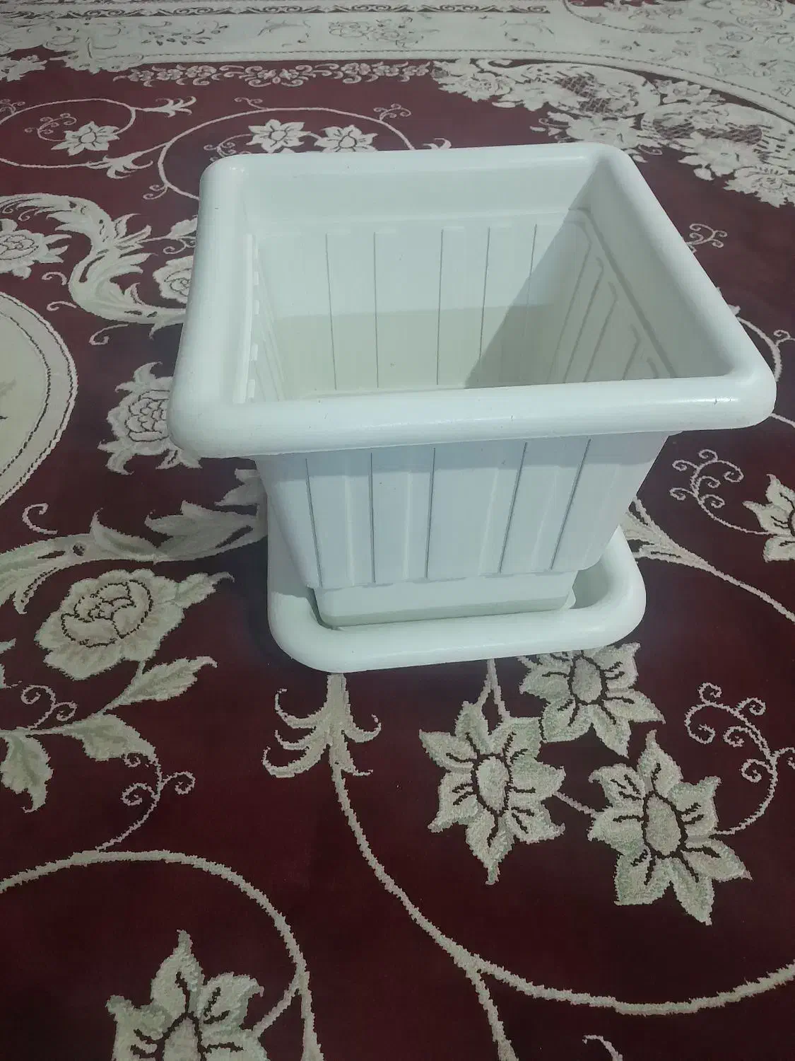 گ.ل.د.ا.ن|گل و گیاه طبیعی|نیشابور, سرآب کوشک|دیوار