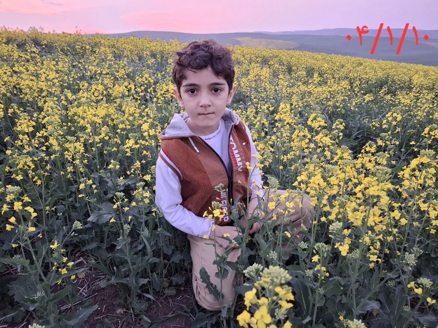 آموزش زبان کاملا تضمینی|خدمات آموزشی|اردبیل, |دیوار