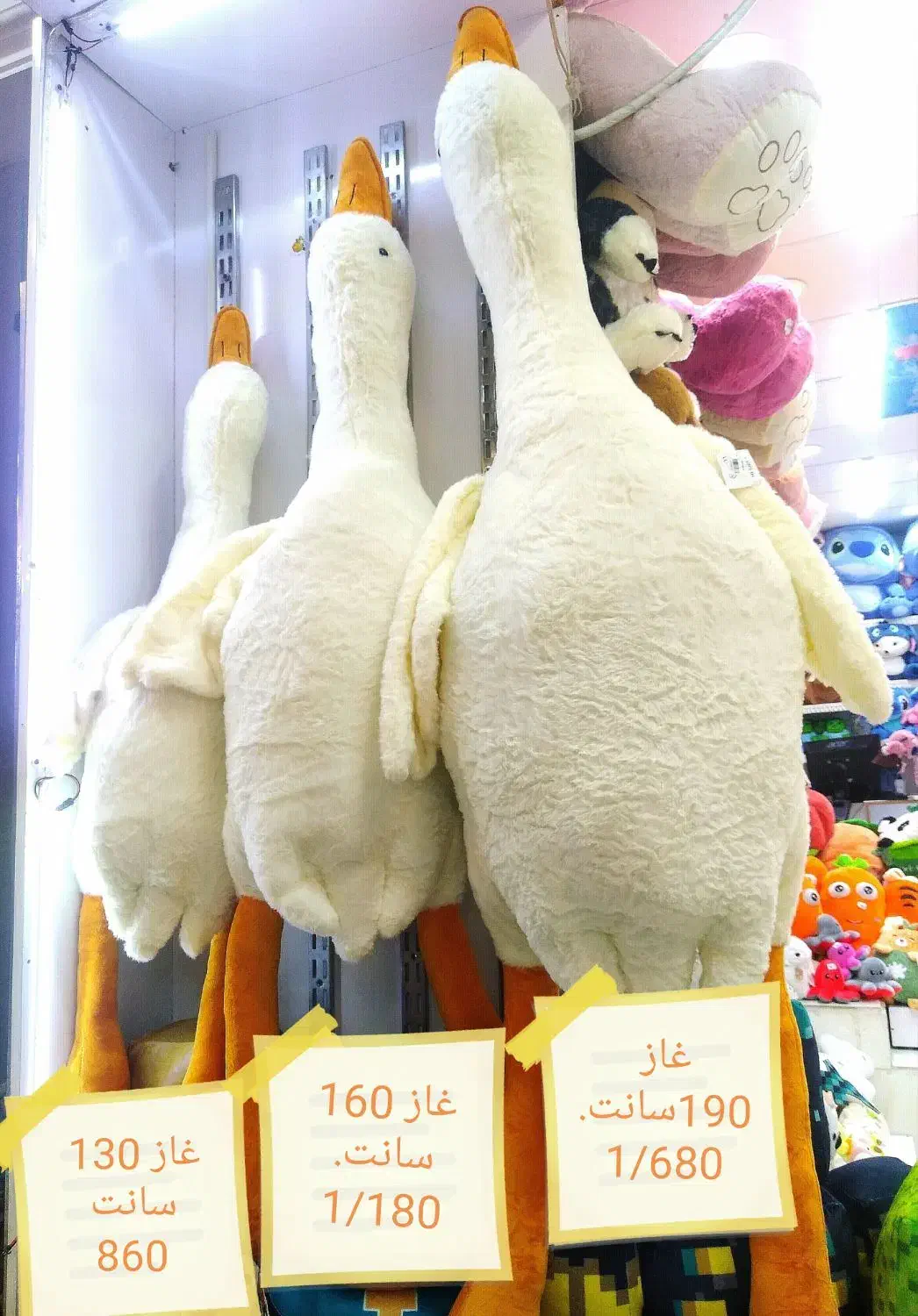 (غاز مهاجر)|اسباببازی|مشهد, مصلی (کارمندان اول)|دیوار