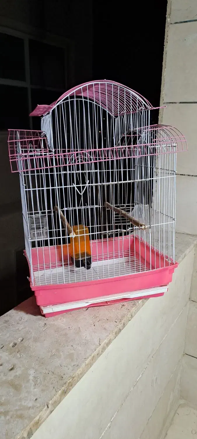 قفس پرنده|لوازم جانبی حیوانات|محمدشهر, ولدآباد|دیوار