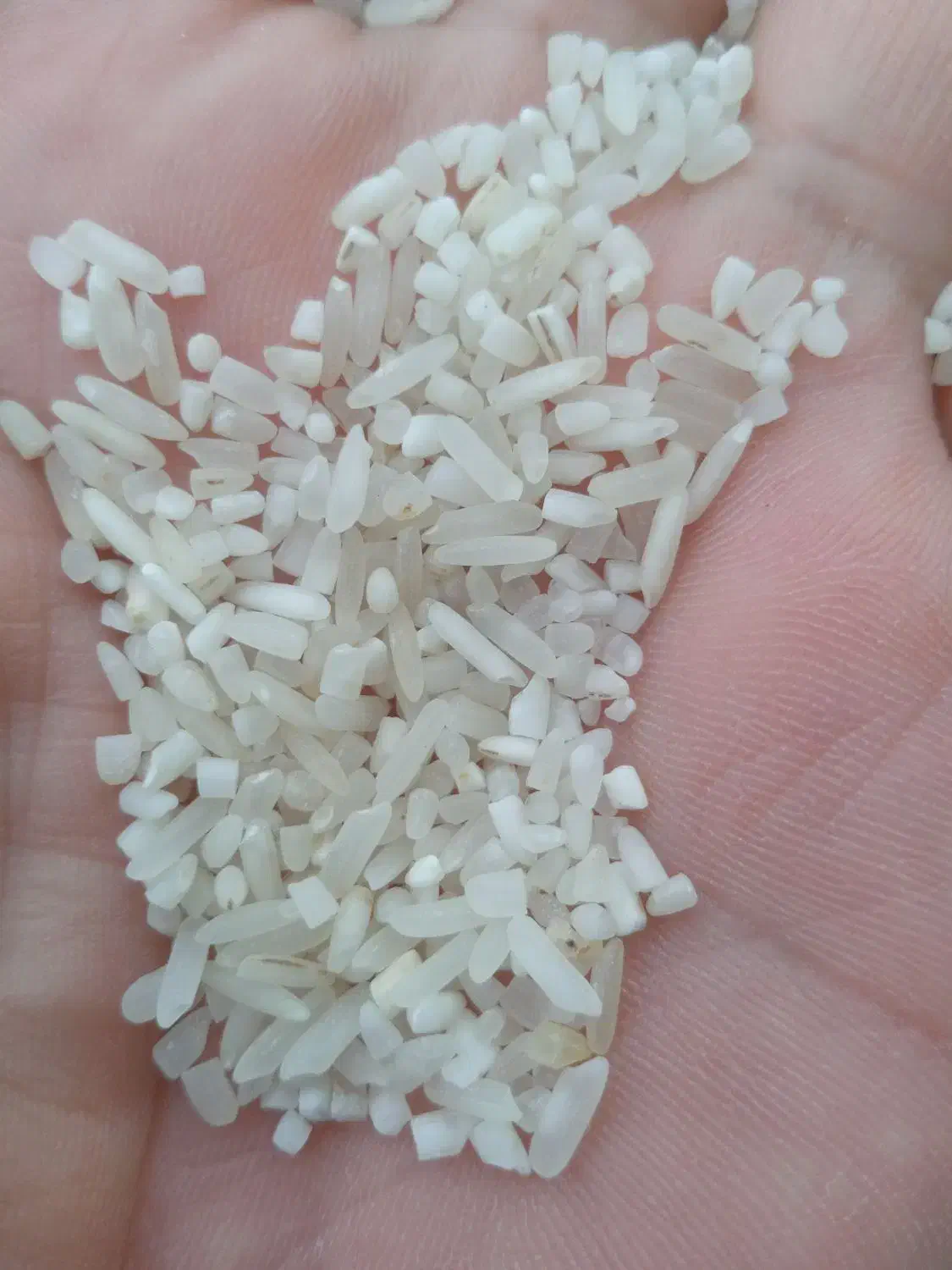 برنج سر لاشه|خوردنی و آشامیدنی|تهران, قنات‌کوثر|دیوار