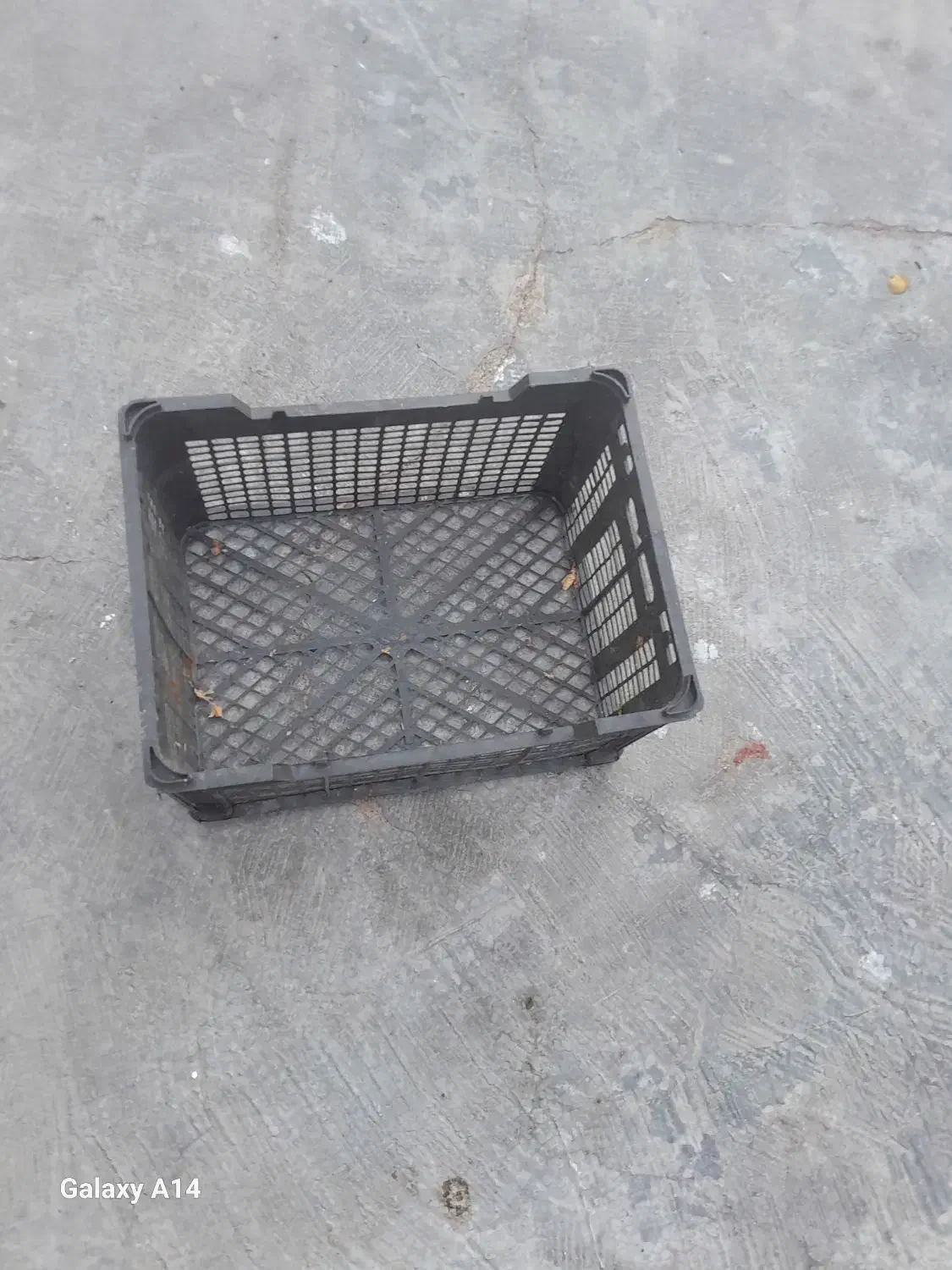 سبد میوه|ظروف نگهدارنده، پلاستیکی، یک‌بارمصرف|شوشتر, |دیوار