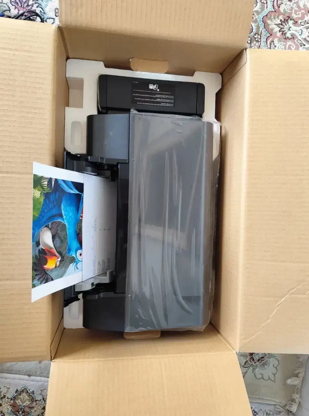 پرینتر رنگی EPSON L805|پرینتر، اسکنر، کپی، فکس|کرمانشاه, |دیوار