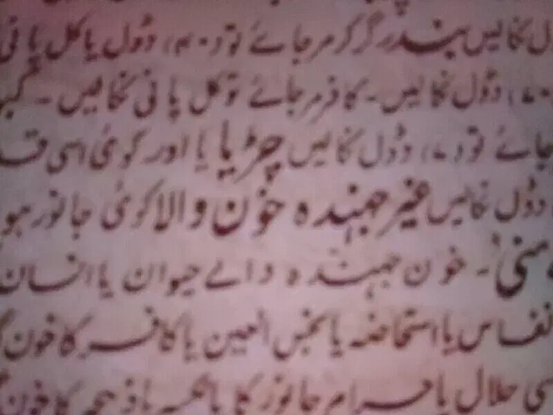 سرکتاب و دعا|کتاب و مجله مذهبی|بندرعباس, |دیوار