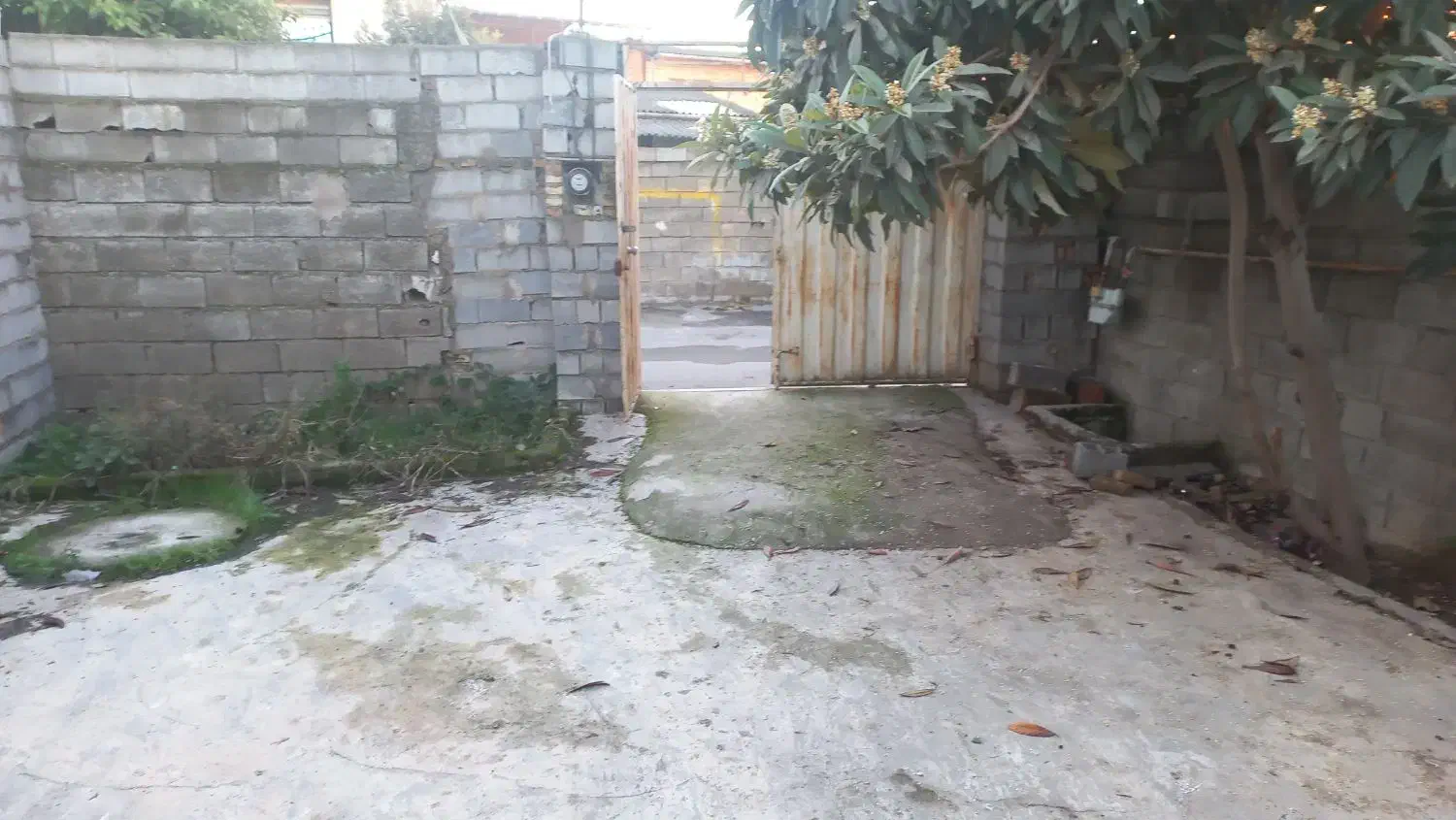 خانه ویلایی کلنگی جهت ساخت و ساز|فروش خانه و ویلا|قائمشهر, |دیوار