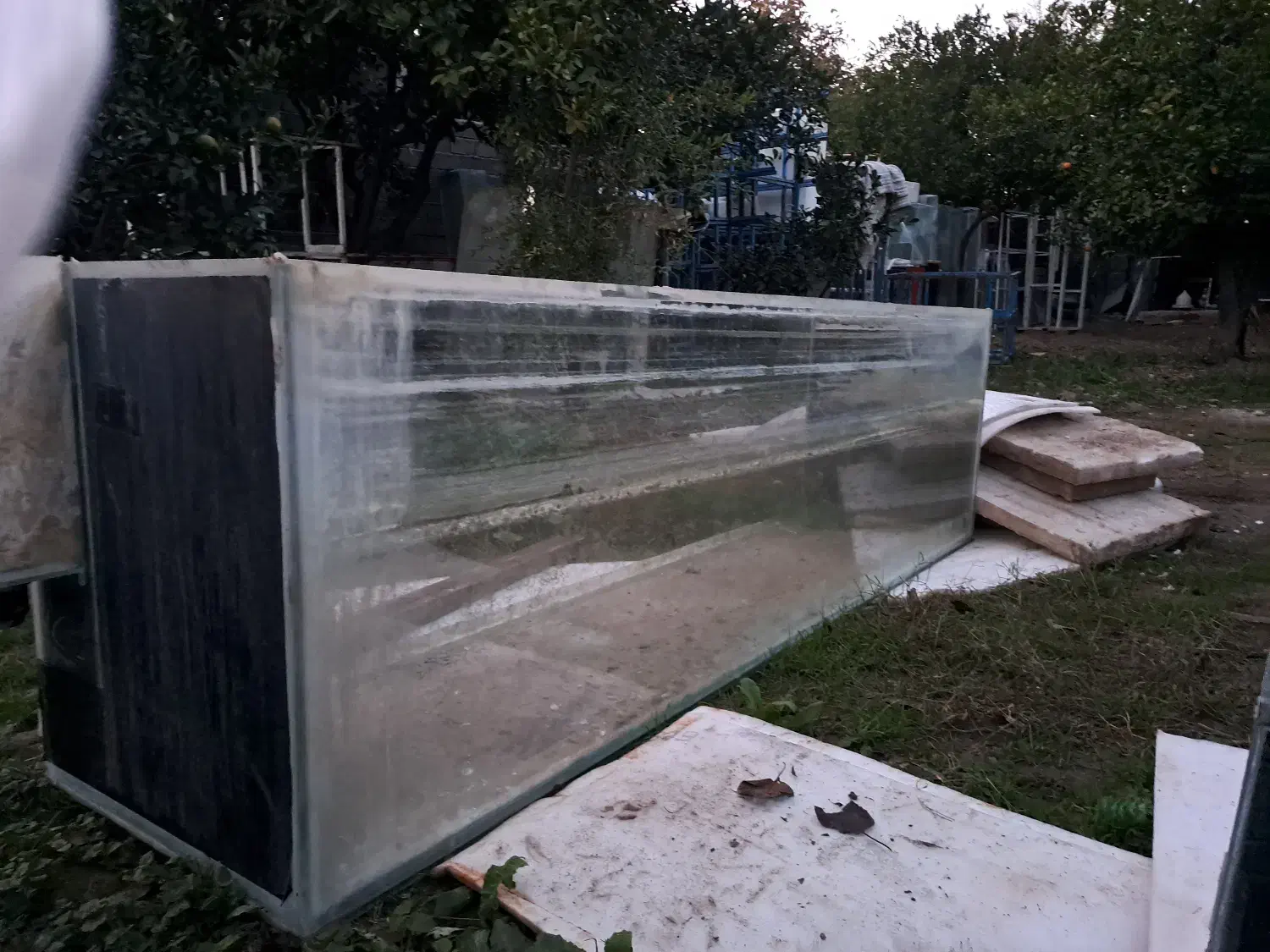 شهر اکواریوم|ماهی|ساری, |دیوار