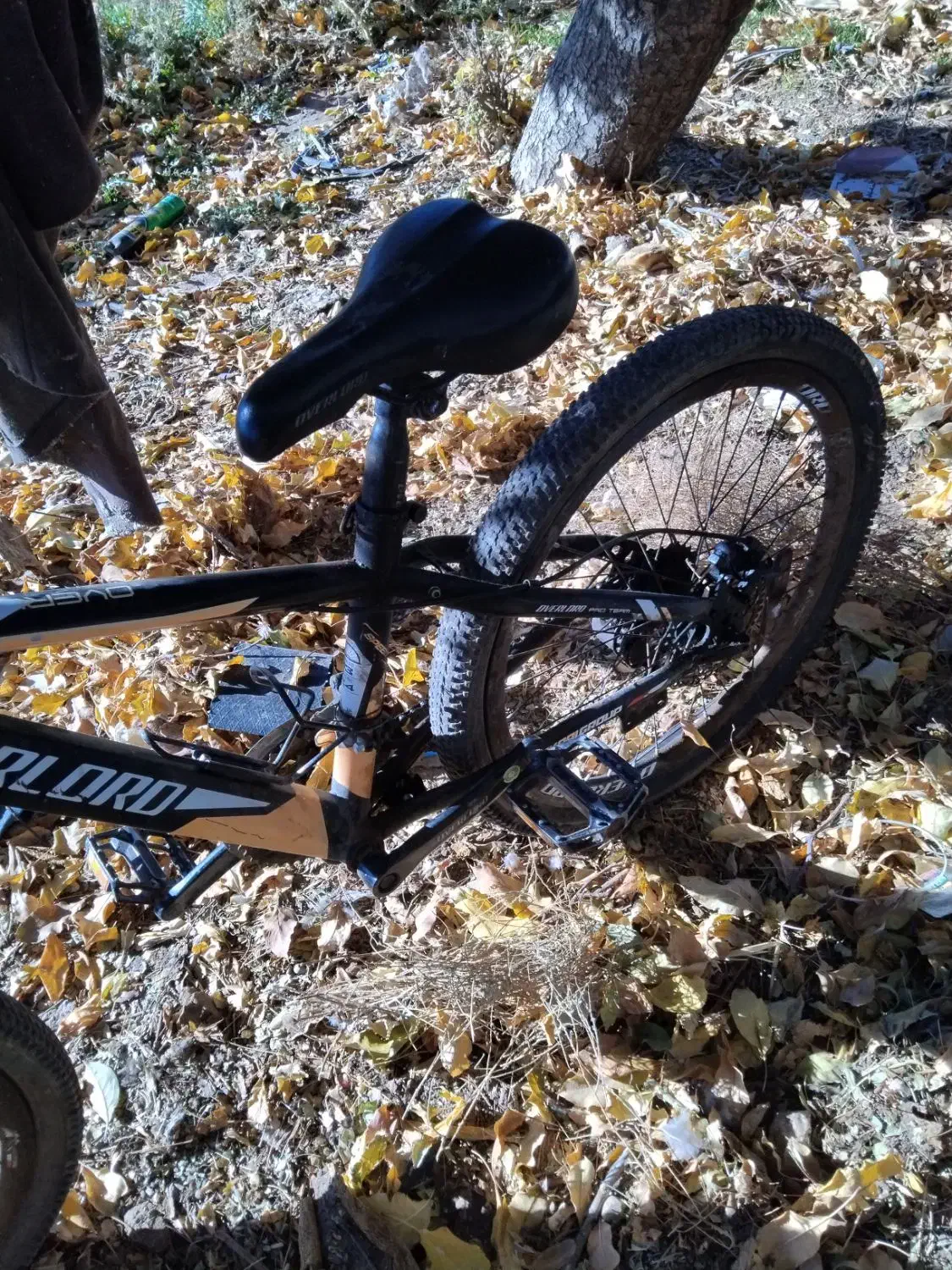 دوچرخه 24|دوچرخه، اسکیت، اسکوتر|تربت جام, شهید مدرس|دیوار