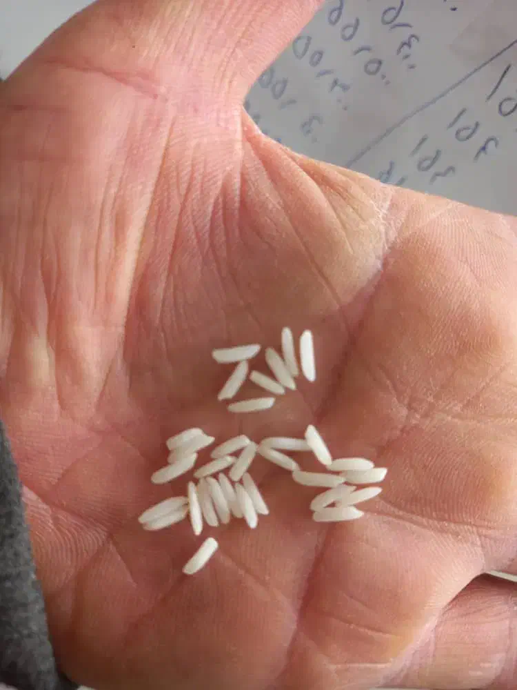 برنج اعلا|خوردنی و آشامیدنی|رشت, استادسرا|دیوار