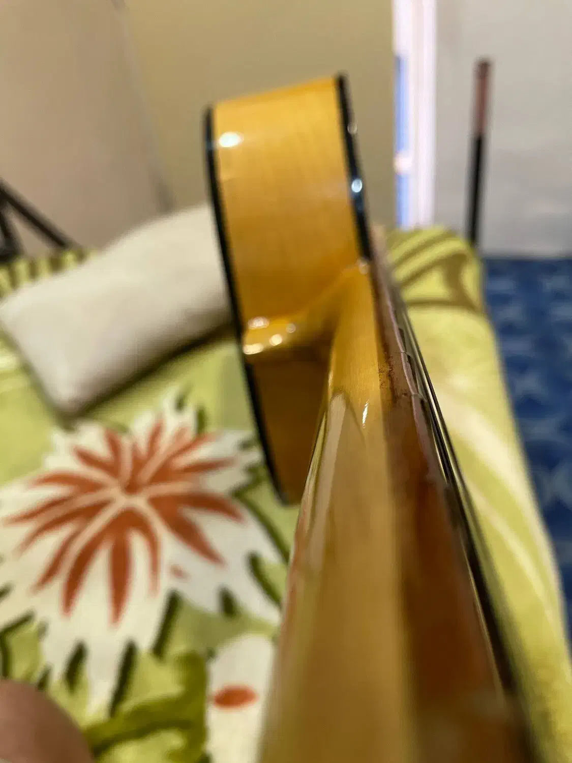 گیتار کاملا نو|گیتار، بیس، امپلیفایر|مشهد, سید رضی|دیوار