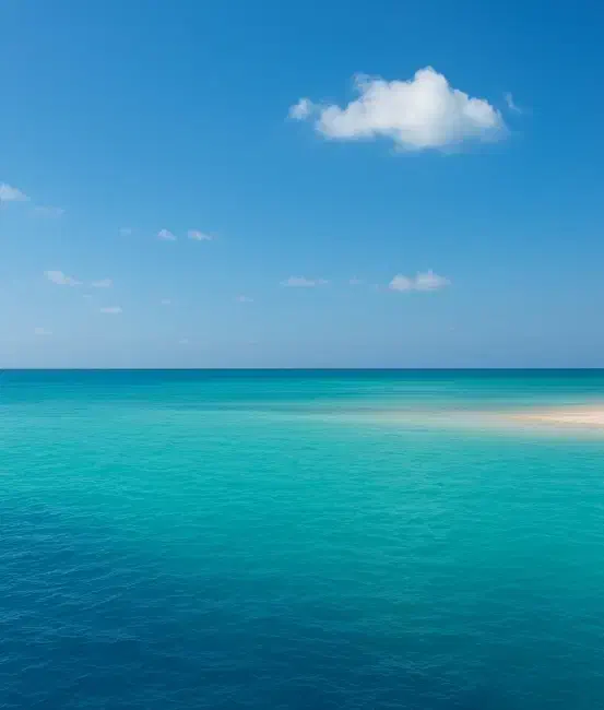 ویلایی دیدنیها ۴ خوابه ردیف ممتاز، خانم علیزاده|فروش خانه و ویلا|کیش, |دیوار