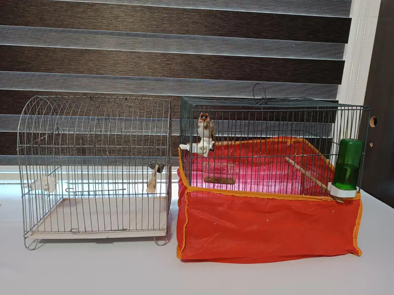 دوتاقفس کاملاسالم|لوازم جانبی حیوانات|ایلام, |دیوار