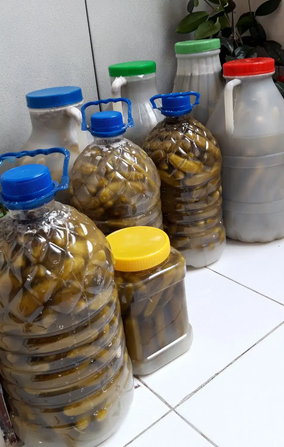 خیارشور خانگی|خوردنی و آشامیدنی|فولادشهر, C2|دیوار