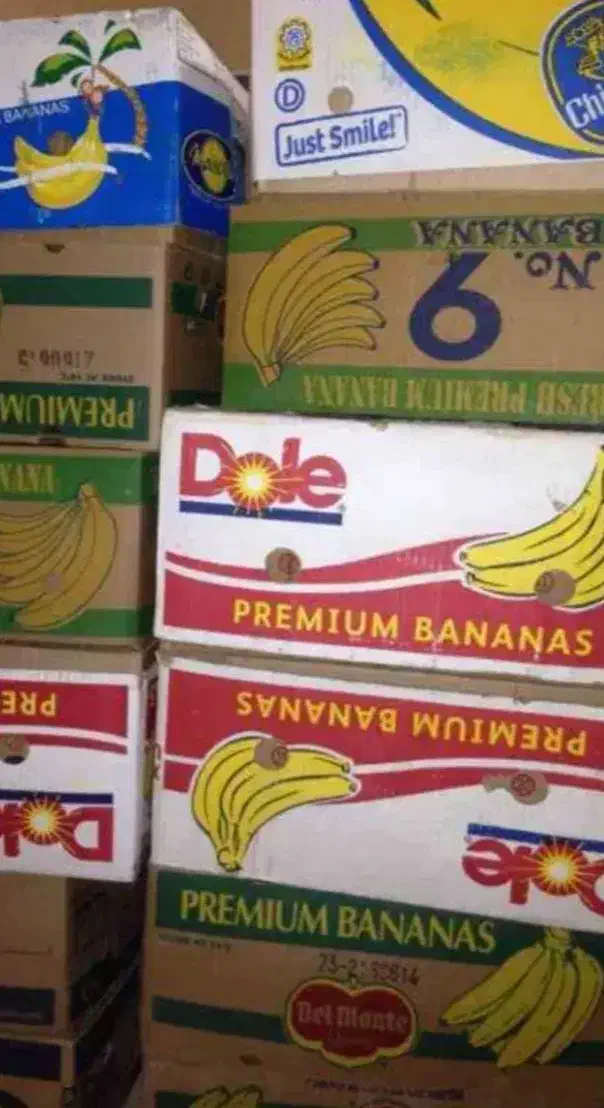 کارتن موز فروشی|ابزارآلات|تهران, مولوی|دیوار