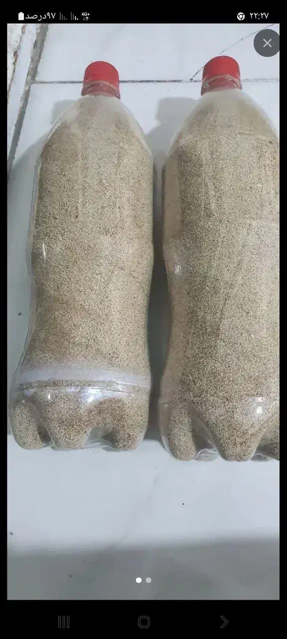 دانه گیاهی|خدمات باغبانی و درختکاری|بیستون, |دیوار