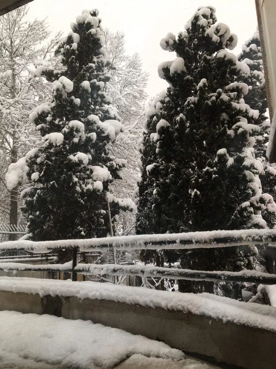 اجاره ملک|اجارهٔ خانه و ویلا|تهران, قیطریه|دیوار