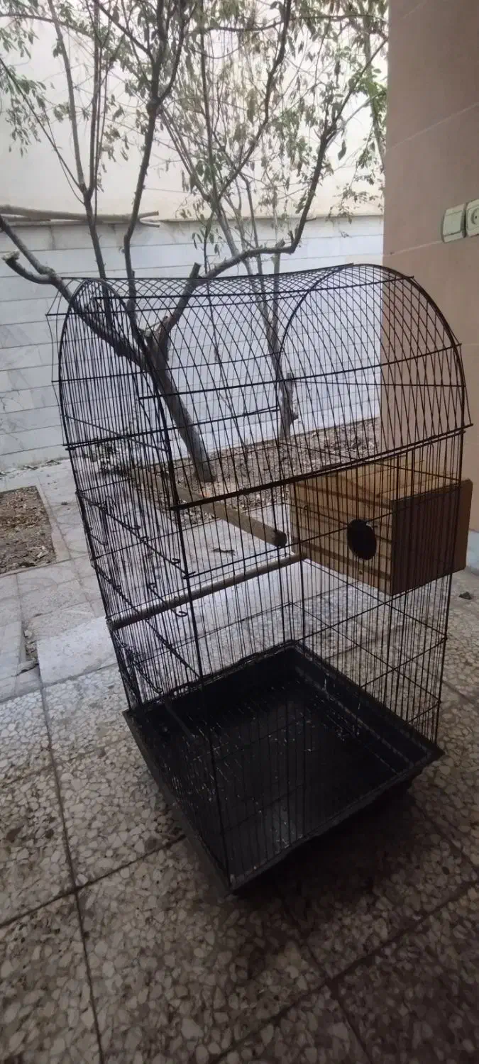 قفس پرنده|لوازم جانبی حیوانات|مشکین‌دشت, |دیوار