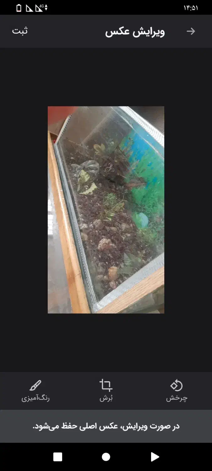 ماهی|ماهی|زابل, |دیوار