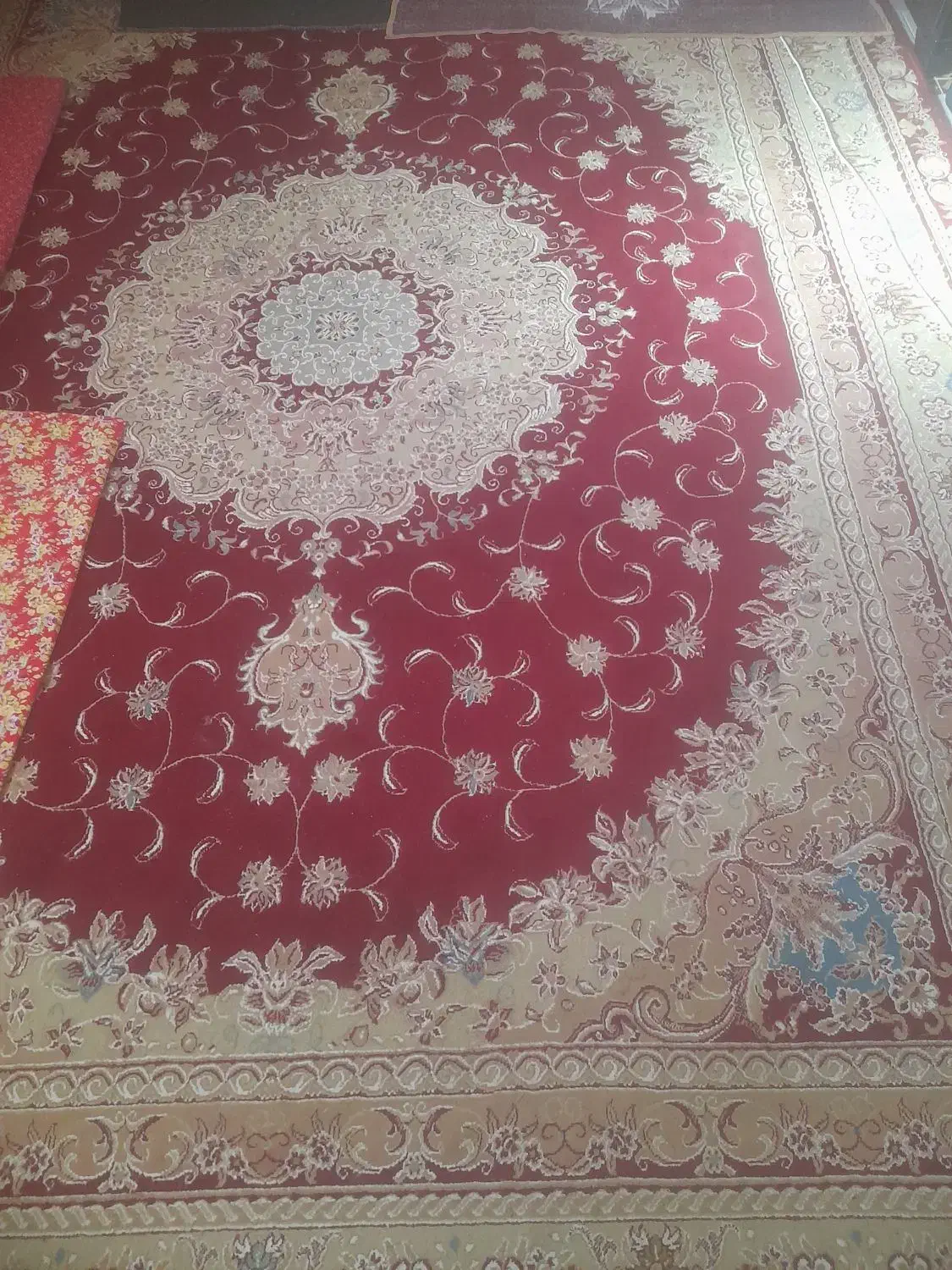 فروش فرش و موکت|فرش|میاندوآب, |دیوار