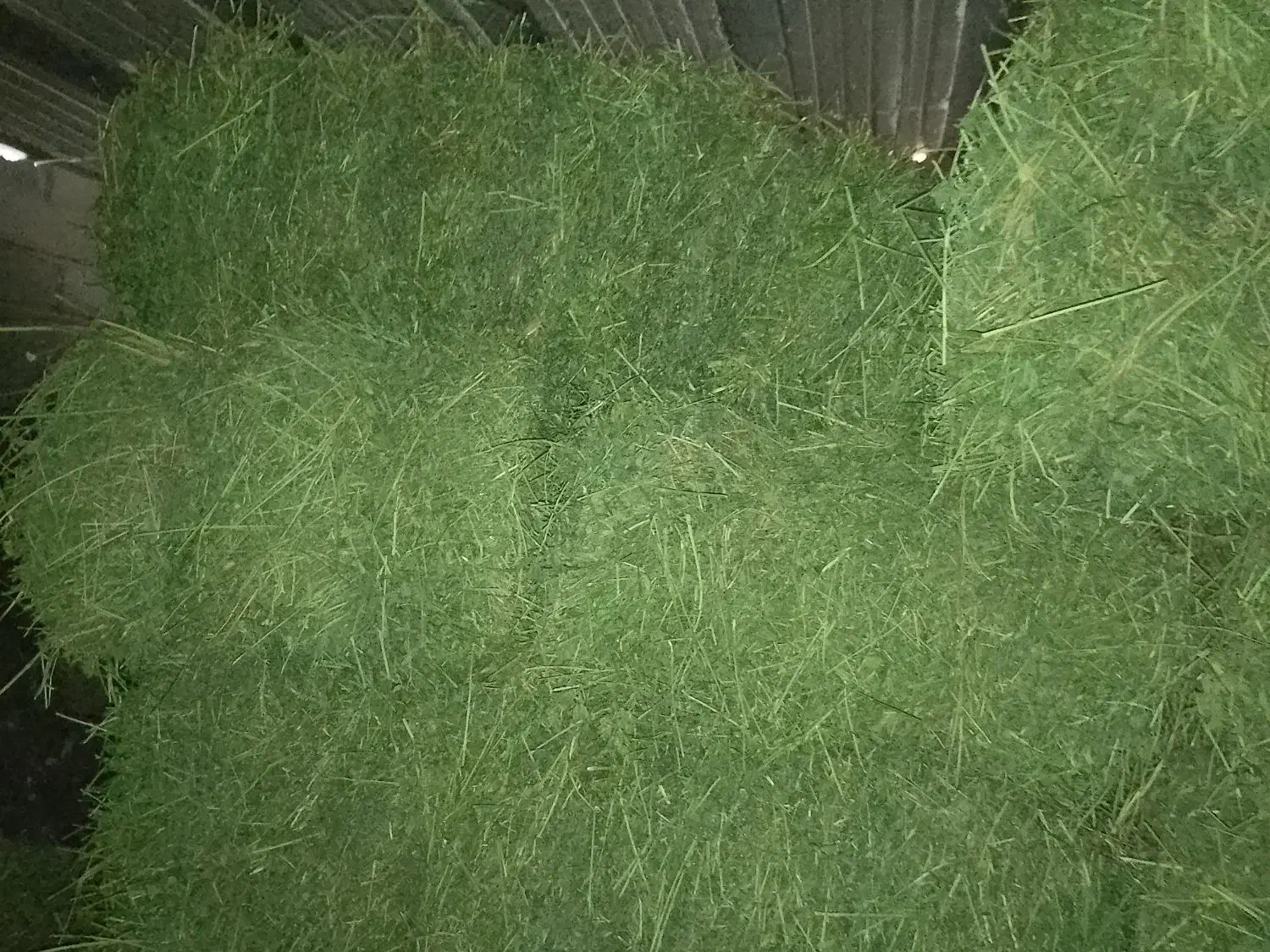 پرس یونجه|لوازم جانبی حیوانات|فیروزآباد (لرستان), |دیوار