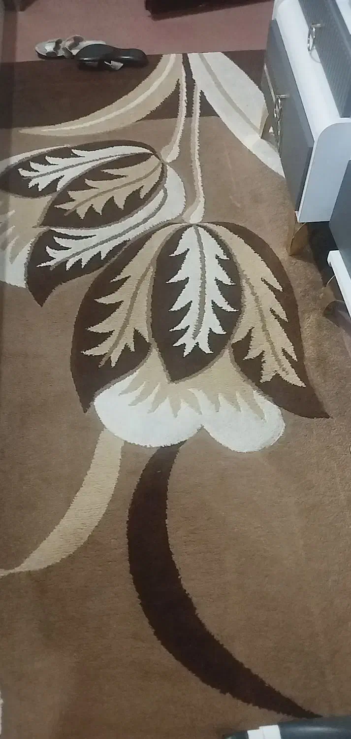 گلیم 12متری|گلیم، جاجیم، گبه|بهبهان, |دیوار