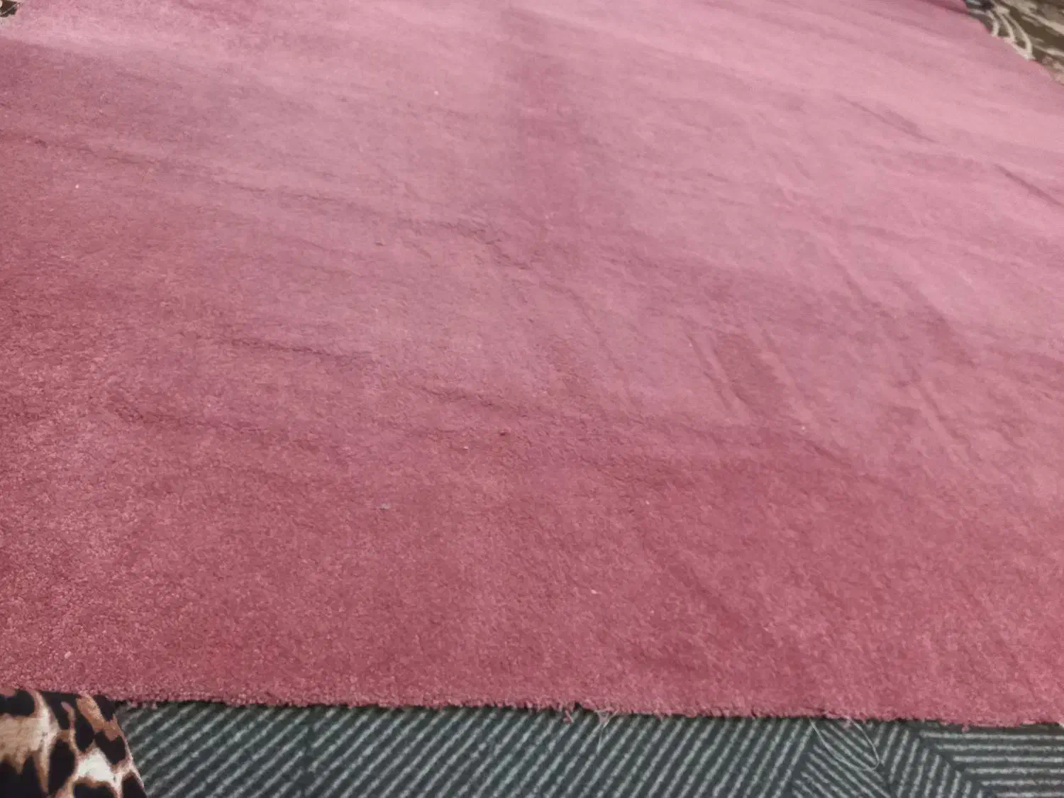 موکت پالاز|موکت|اهواز, گلدشت|دیوار